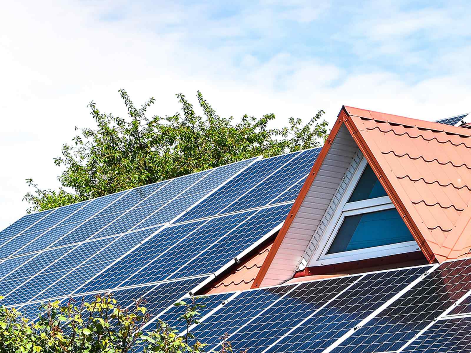 inner_image_09 https://paru-ci.org/wp-content/uploads/2022/03/inner_image_09.jpg